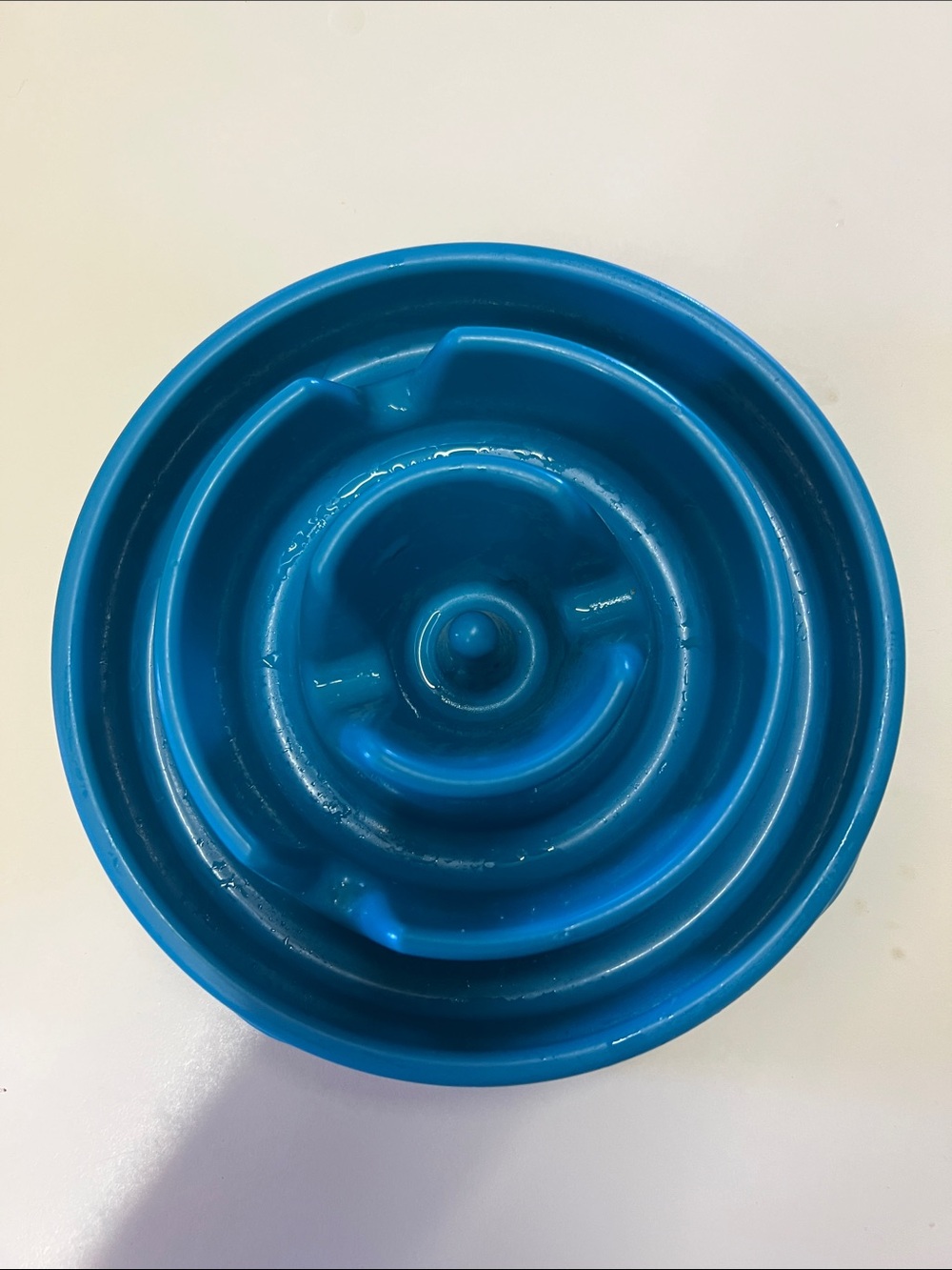 Outward Hound Slow Feeder Bowl in Blue